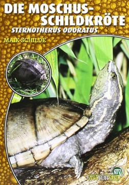 portada Die Moschusschildkröte: Sternotherus odoratus