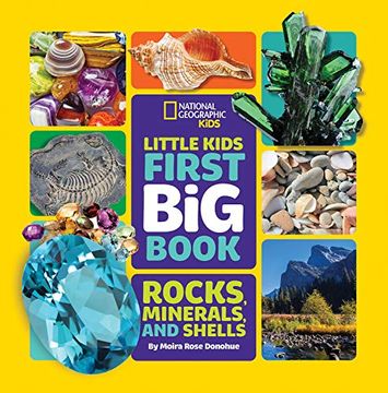 portada Little Kids First big Book of Rocks, Minerals & Shells (Library Edition) (First big Books) (en Inglés)