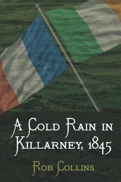 portada a cold rain in killarney, 1845 (en Inglés)
