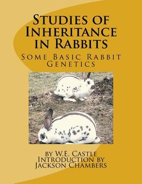portada Studies of Inheritance in Rabbits: Some Basic Rabbit Genetics (en Inglés)