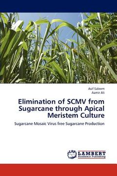 portada elimination of scmv from sugarcane through apical meristem culture