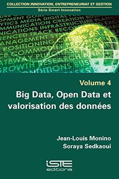 portada Big Data, Open Data Valoristn des Donnees (en Francés)