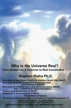 portada Why is the Universe Real? From Quaternion & Octonion to Real Coordinates (en Inglés)