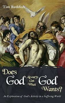 portada Does God Always Get What God Wants?