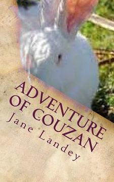 portada Adventure of Couzan: Chinese Version