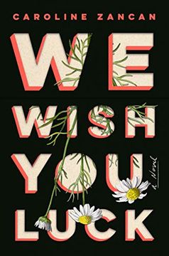portada We Wish you Luck: A Novel (en Inglés)
