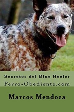 portada Secretos del Blue Heeler: Perro-Obediente. Com
