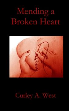 portada Mending a Broken Heart (in English)