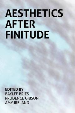 portada Aesthetics After Finitude (in English)