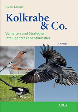 portada Kolkrabe & Co. Verhalten und Strategien Intelligenter Lebenskünstler (en Alemán)