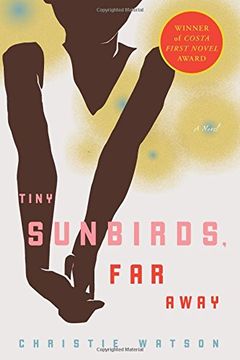 portada Tiny Sunbirds, far Away (in English)