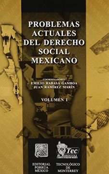 portada problemas actuales del derecho social mexicano / vol i