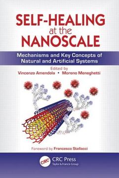 portada Self-Healing at the Nanoscale: Mechanisms and Key Concepts of Natural and Artificial Systems (en Inglés)