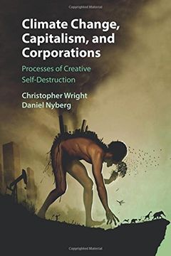 portada Climate Change, Capitalism, and Corporations (Business, Value Creation, and Society) (en Inglés)
