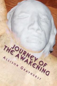 portada journey of the awakening (en Inglés)