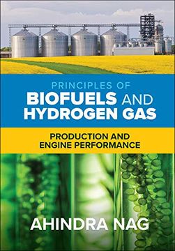 portada Principles of Biofuels and Hydrogen Gas: Production and Engine Performance (in English)