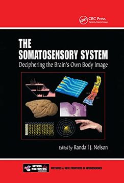 portada The Somatosensory System (en Inglés)