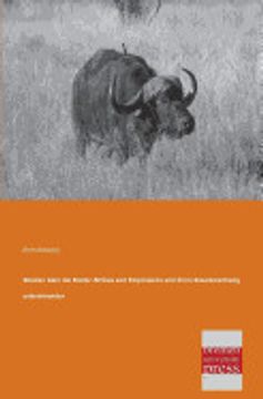 portada Studien Über die Rinder Afrikas und Polynesiens und Ihren Zusammenhang Untereinander (en Alemán)