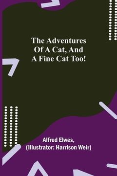 portada The Adventures of a Cat, and a Fine Cat Too! (en Inglés)
