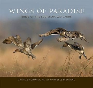 portada Wings of Paradise: Birds of the Louisiana Wetlands (in English)