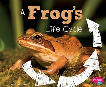 portada A Frog's Life Cycle (Explore Life Cycles) (in English)