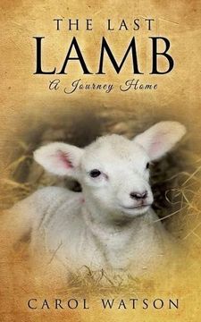 portada The Last Lamb 