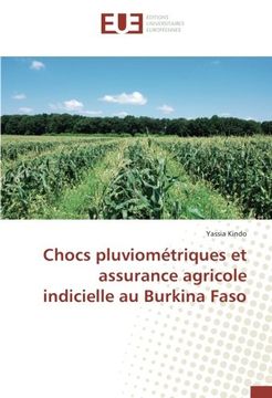 portada Chocs pluviométriques et assurance agricole indicielle au Burkina Faso (OMN.UNIV.EUROP.)