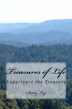 portada Treasures of Life: Experience the treasure