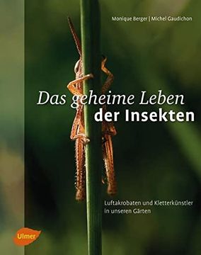 portada Das Geheime Leben der Insekten: Luftakrobaten und Kletterkünstler in Unseren Gärten (in German)