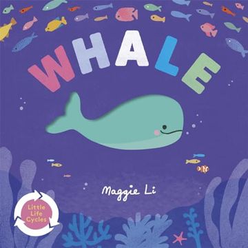 portada Little Life Cycles: Whale