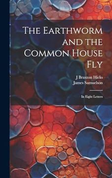 portada The Earthworm and the Common House Fly: In Eight Letters (in English)