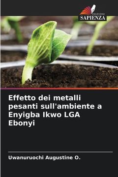 portada Effetto dei metalli pesanti sull'ambiente a Enyigba Ikwo LGA Ebonyi (en Italiano)