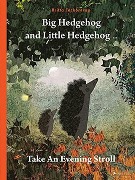 portada Big Hedgehog and Little Hedgehog Take an Evening Stroll: Take a Stroll 