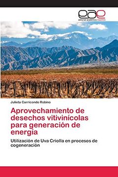 portada Aprovechamiento de Desechos Vitivinícolas Para Generación de Energía: Utilización de uva Criolla en Procesos de Cogeneración