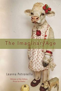 portada The Imaginary Age: Poems (in English)