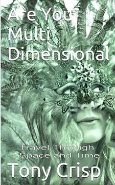 portada Are You Multidimensional: Travel Through Space and Time (en Inglés)