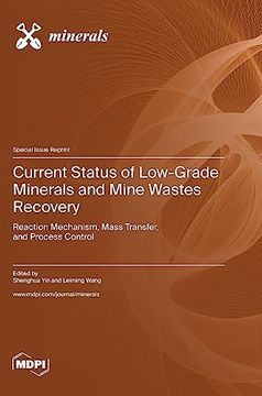 portada Current Status of Low-Grade Minerals and Mine Wastes Recovery: Reaction Mechanism, Mass Transfer, and Process Control 