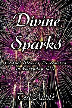 portada divine sparks: gospel stories discovered in everyday life (en Inglés)