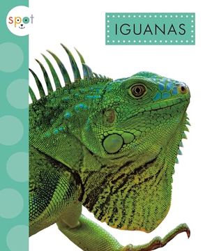 portada Iguanas [Soft Cover ] (en Inglés)