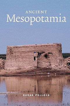 portada Ancient Mesopotamia Paperback (Case Studies in Early Societies) (en Inglés)