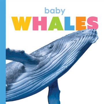 portada Baby Whales (in English)