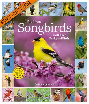 portada Audubon Songbirds and Other Backyard Birds Picture-A-Day Wall Calendar 2025