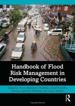 portada Handbook of Flood Risk Management in Developing Countries 