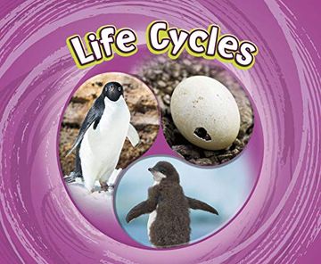 portada Life Cycles (Cycles of Nature) (en Inglés)