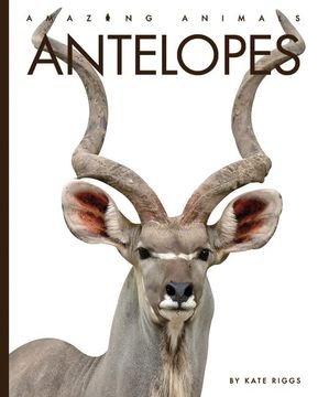 portada Antelopes 