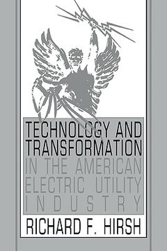 portada Technology and Transformation in the American Electric Utility Industry 
