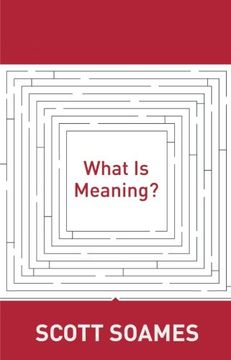 portada What is Meaning? (Soochow University Lectures in Philosophy, 4) (en Inglés)