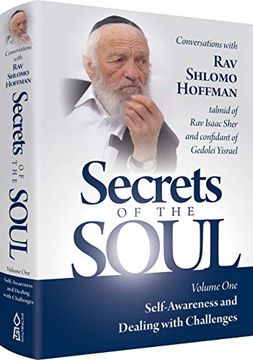 portada Secrets of the Soul: Volume one - Self Awareness and Dealing With Challenges 