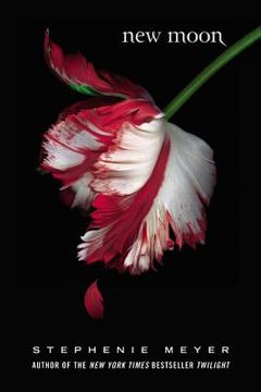 new moon