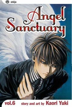 Angel Sanctuary, Vol. 6 (in English)